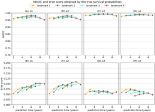 Statistical issues in survival analysis (dynamic survival)